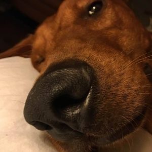 Meet your Posher, Cathy